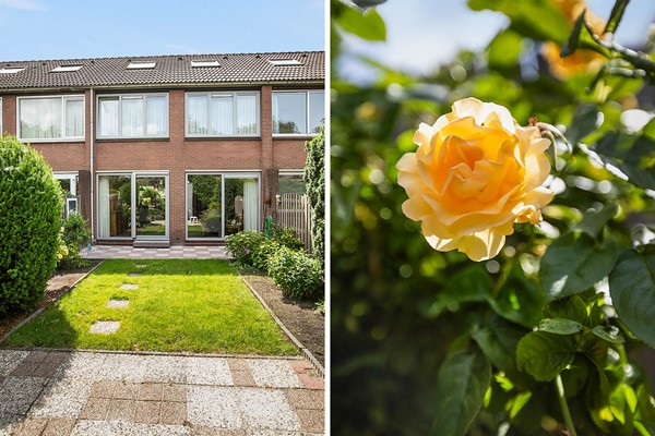 Foto - Te koop: Pieter Taemszstraat 4, 1135 HG Edam
